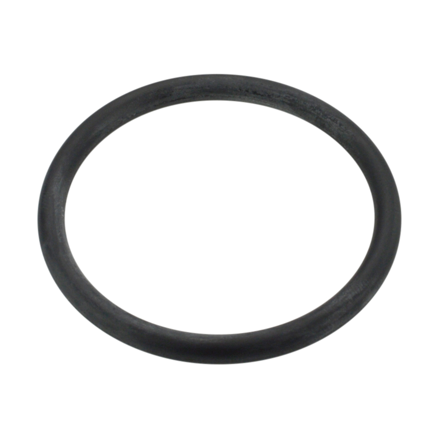 PT 119 O-Ring FCN57XHH Z0587