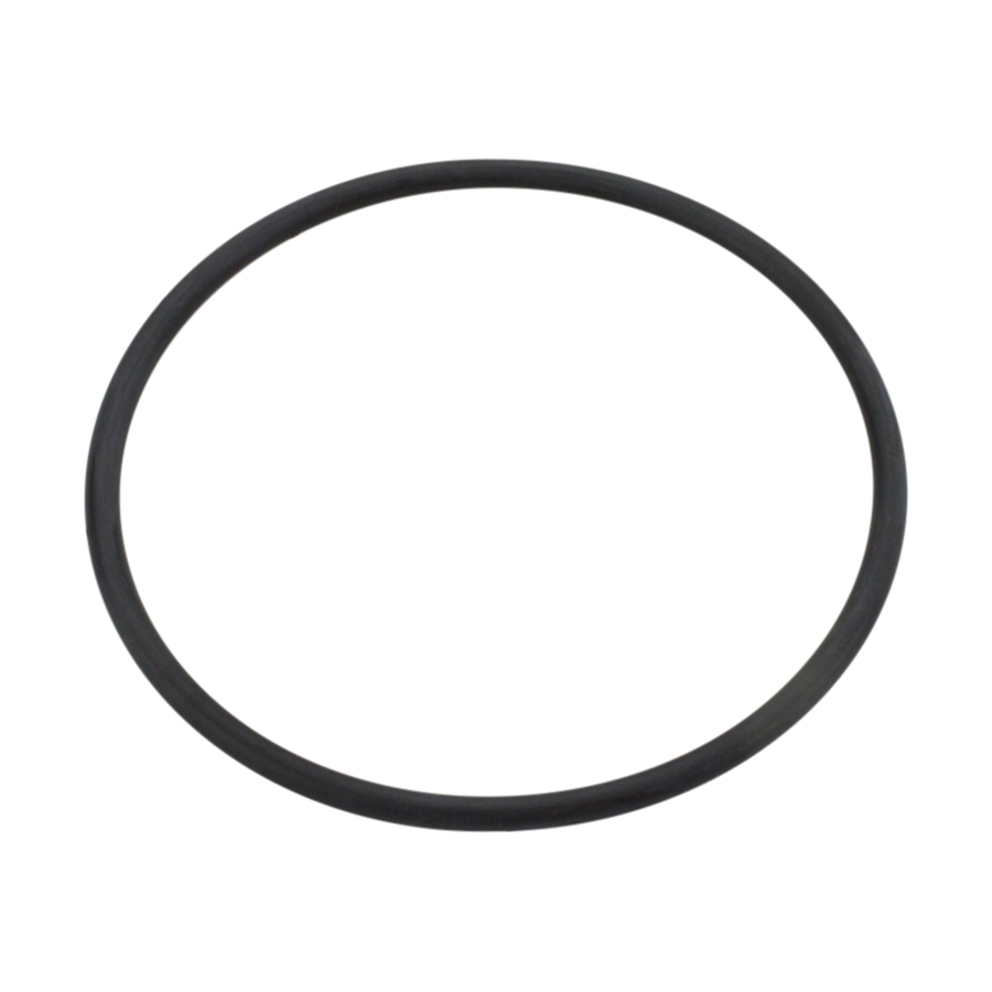 PT 119 O-Ring G1450MHH ZB2152080