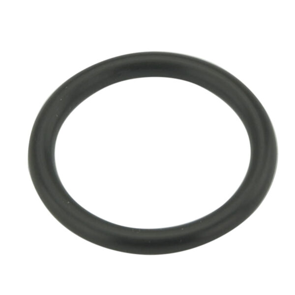 PT 113 O-Ring B2/B3 ZB2152005 (AAA)
