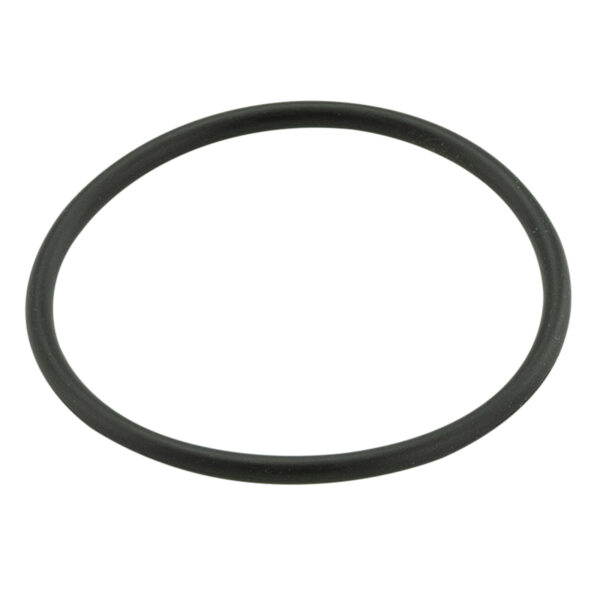 PT 115 O-Ring GBA64LHH Z2041102-04040-0