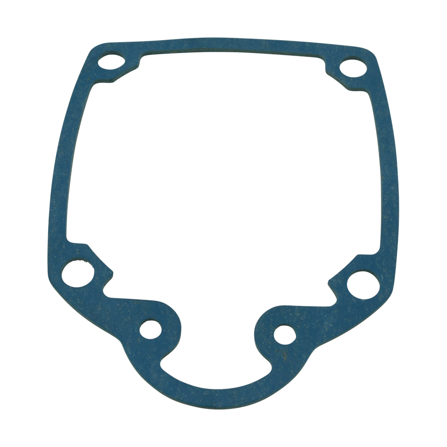PT 15021 Cap Gasket G1738V